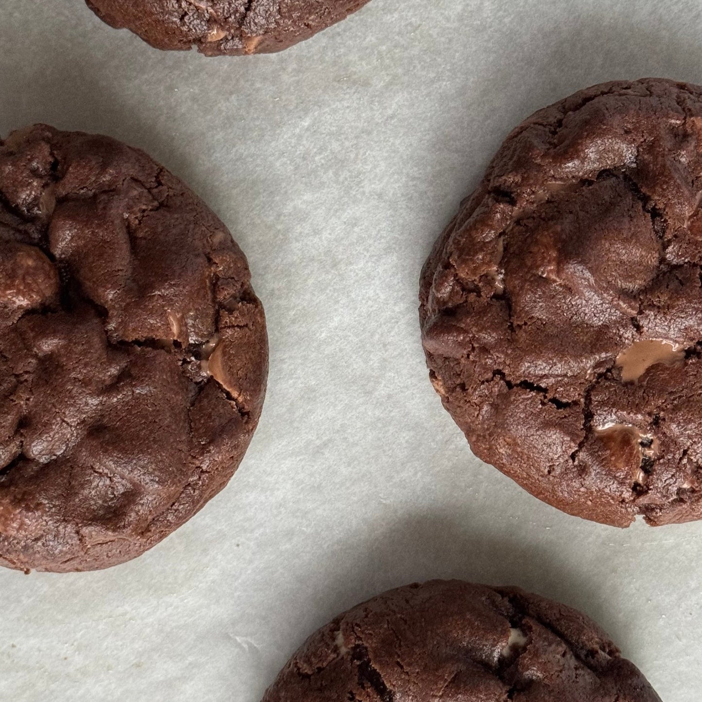 ᴋɴᴀꜰᴇʜ ᴋɪɴɢ