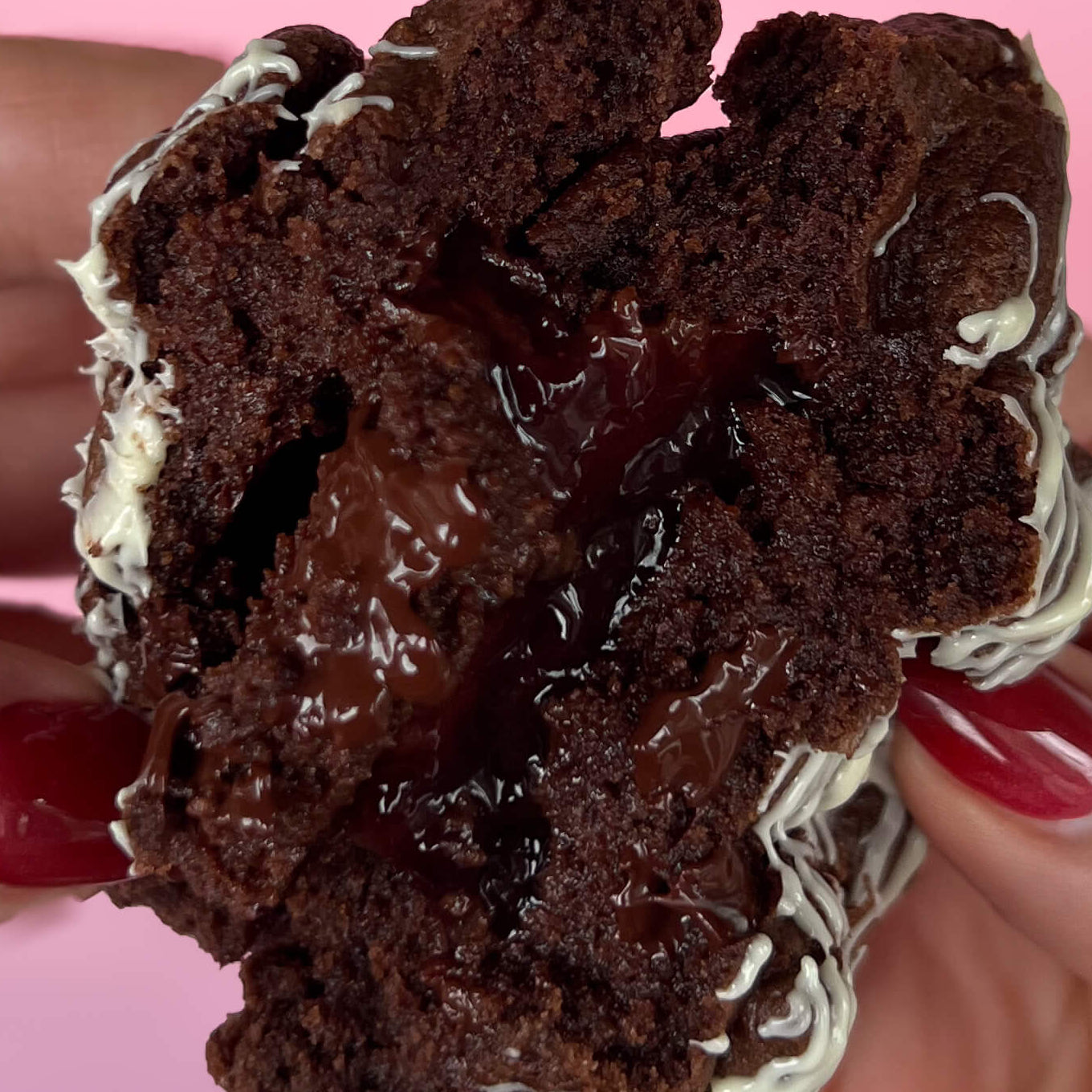 BLACK FOREST - DECEMBER SPECIAL